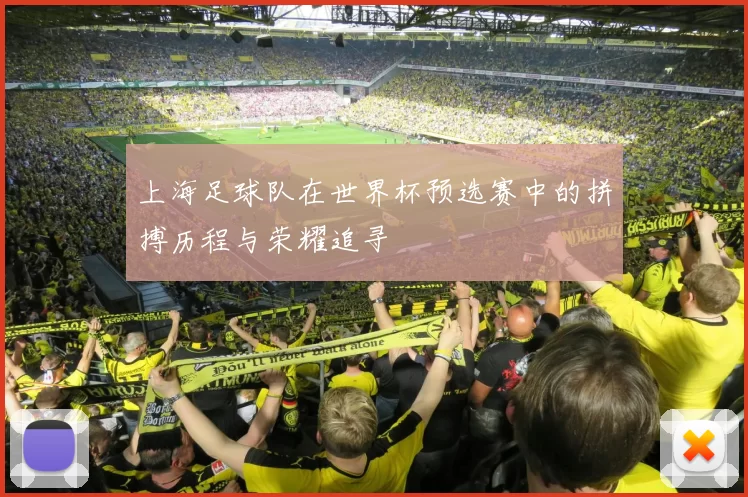 上海足球队在世界杯预选赛中的拼搏历程与荣耀追寻