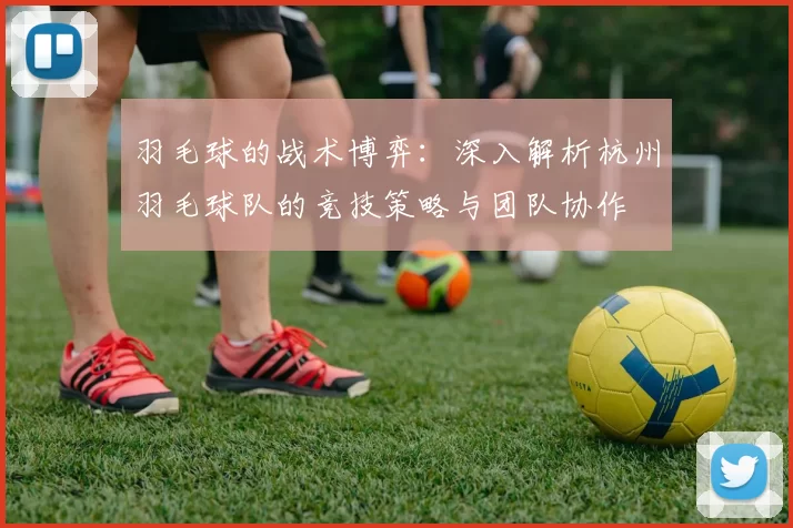 羽毛球的战术博弈：深入解析杭州羽毛球队的竞技策略与团队协作
