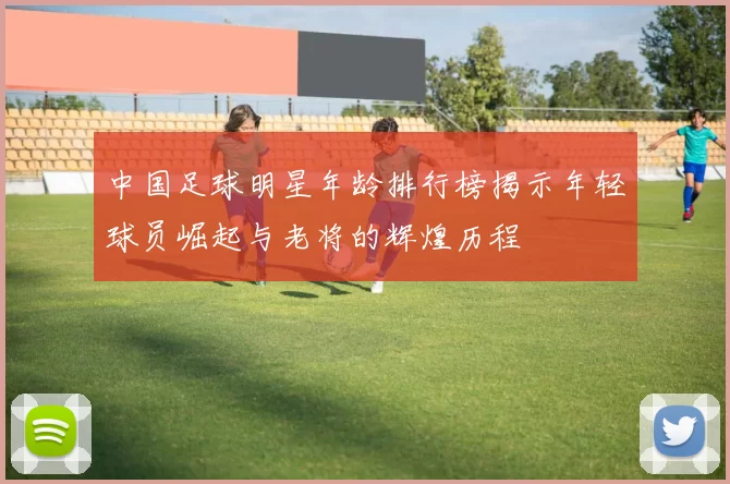中国足球明星年龄排行榜揭示年轻球员崛起与老将的辉煌历程