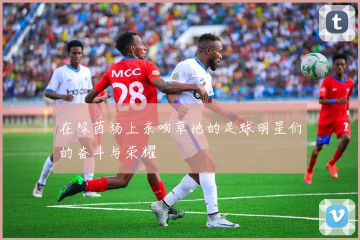 在绿茵场上亲吻草地的足球明星们的奋斗与荣耀