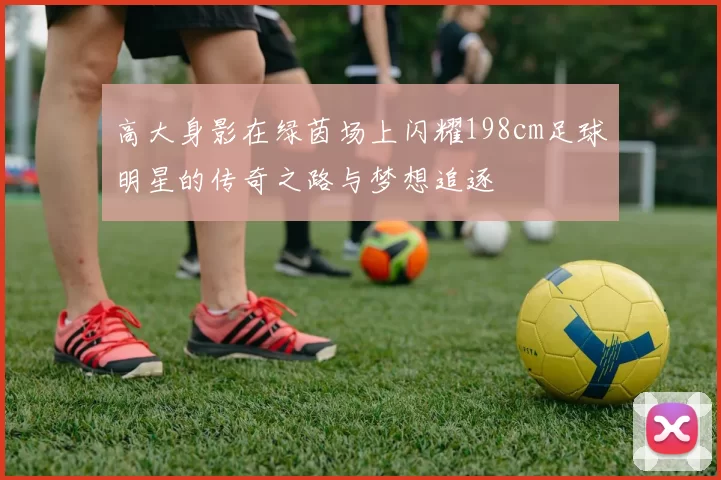 高大身影在绿茵场上闪耀198cm足球明星的传奇之路与梦想追逐