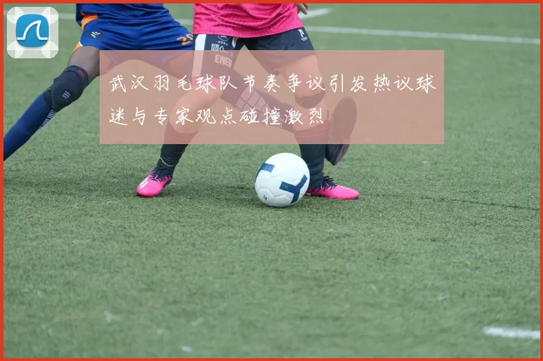武汉羽毛球队节奏争议引发热议球迷与专家观点碰撞激烈