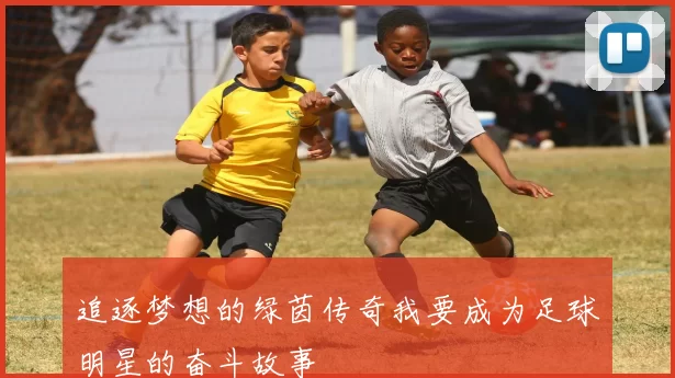 追逐梦想的绿茵传奇我要成为足球明星的奋斗故事